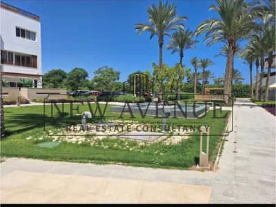 4 Bedroom Townhouse for Sale in North Coast, Matruh - WhatsApp Image 2026-09-03 at 1.41. 54 AM. jpg 4 Bedroom Townhouse for Sale in North Coast, Matruh - WhatsApp Image 2026-09-03 at 1.41. 54 AM. jpg