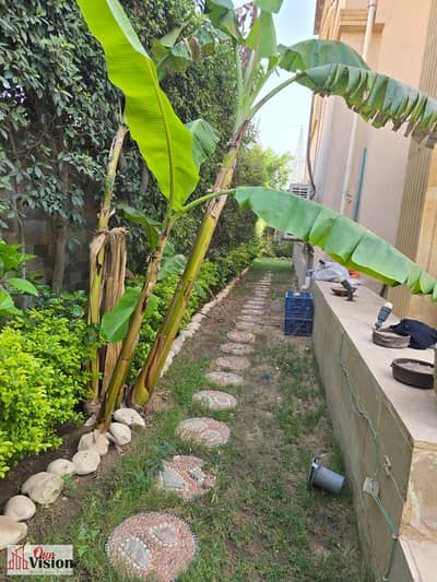 4 Bedroom Twin House for Sale in 6th of October, Giza - WhatsApp Image 2026-09-23 at 12.29. 59 PM (1). jpeg 4 Bedroom Twin House for Sale in 6th of October, Giza - WhatsApp Image 2026-09-23 at 12.29. 59 PM (1). jpeg