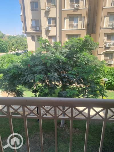 3 Bedroom Flat for Rent in Madinaty, Cairo - IMG-20260923-WA0009. jpg 3 Bedroom Flat for Rent in Madinaty, Cairo - IMG-20260923-WA0009. jpg