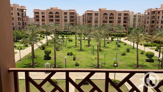 3 Bedroom Apartment for Sale in New Cairo, Cairo - 1001079972. jpg 3 Bedroom Apartment for Sale in New Cairo, Cairo - 1001079972. jpg