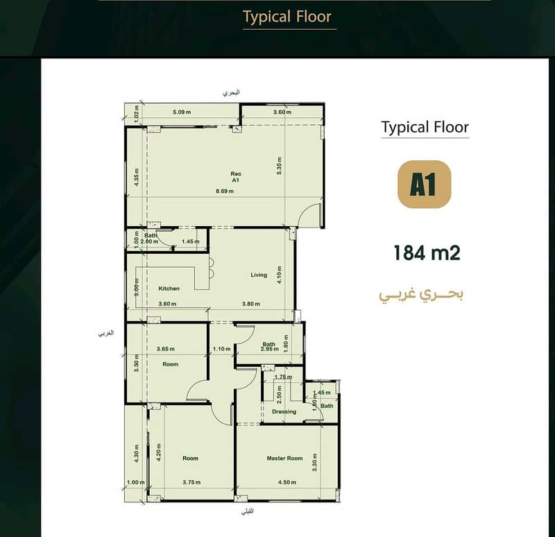 3 1000317895. jpg