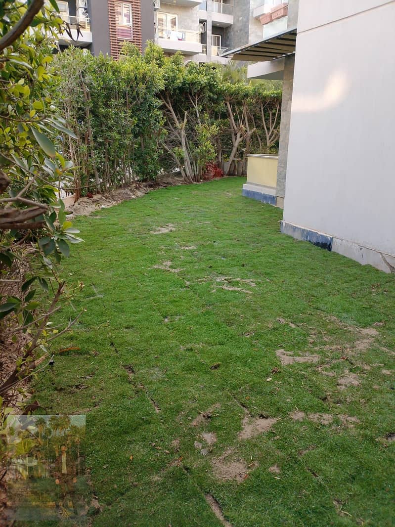 12 1000937312. jpg