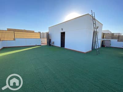 غرفة 1 غرفة نوم للايجار في الشيخ زايد، الجيزة - IMG_5830. jpg غرفة 1 غرفة نوم للايجار في الشيخ زايد، الجيزة - IMG_5830. jpg