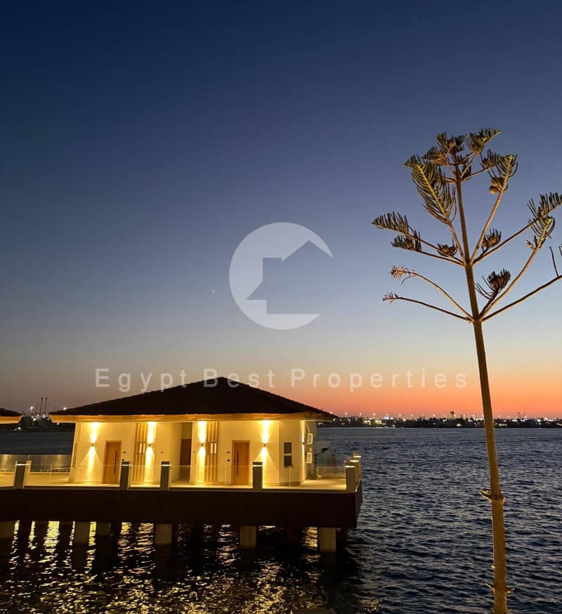 5 WhatsApp Image 2026-09-11 at 8.17. 01 PM. jpeg