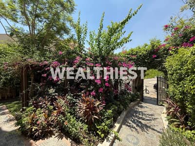 4 Bedroom Townhouse for Sale in Madinaty, Cairo - WhatsApp Image 2026-09-23 at 4.31. 58 PM (1). jpeg 4 Bedroom Townhouse for Sale in Madinaty, Cairo - WhatsApp Image 2026-09-23 at 4.31. 58 PM (1). jpeg