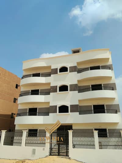3 Bedroom Flat for Sale in Badr City, Cairo - 1000128538. jpg 3 Bedroom Flat for Sale in Badr City, Cairo - 1000128538. jpg