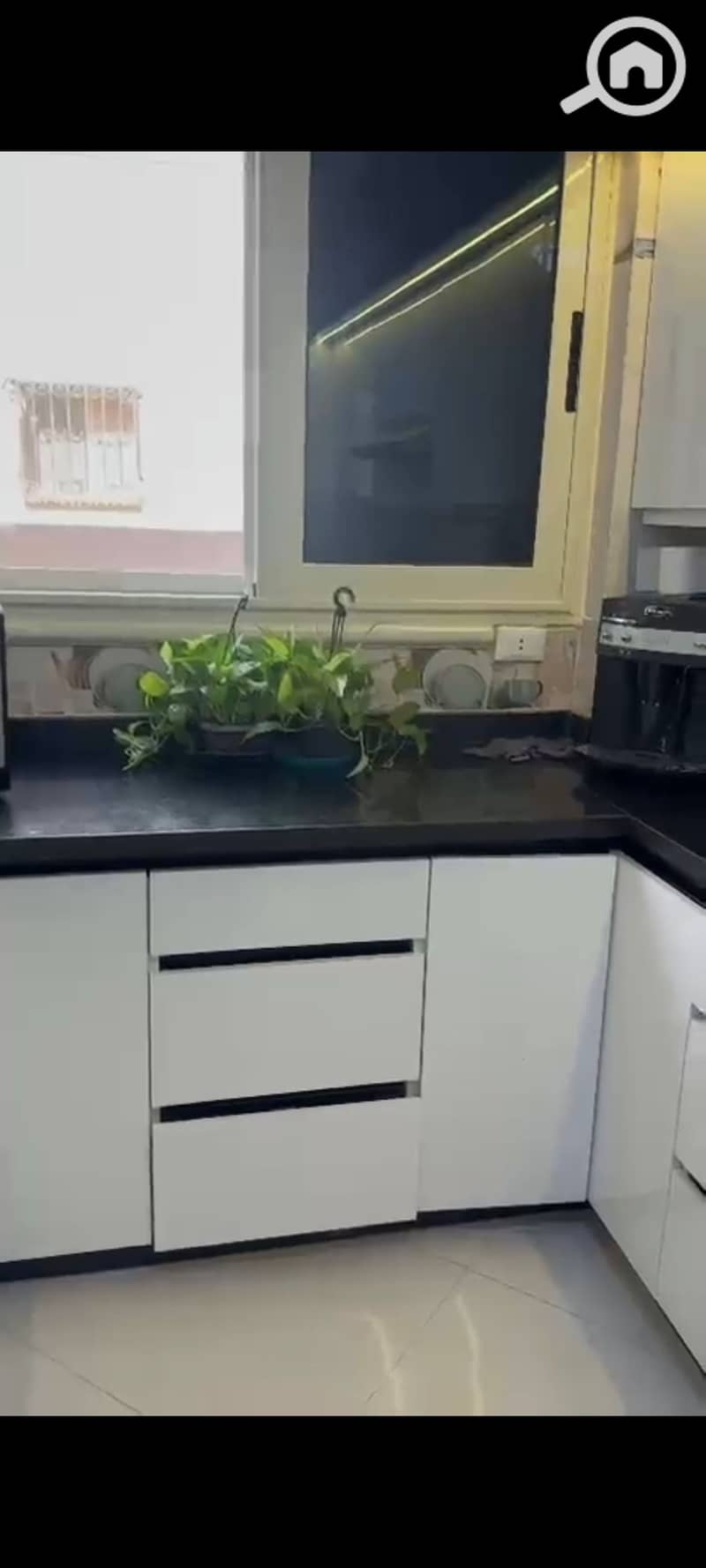3 1000438247. jpg