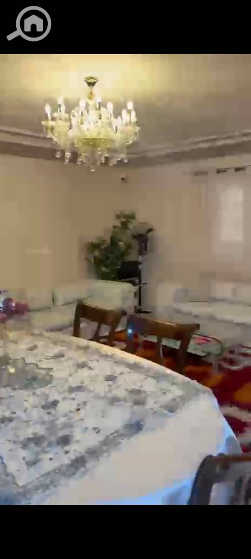 4 1000438246. jpg