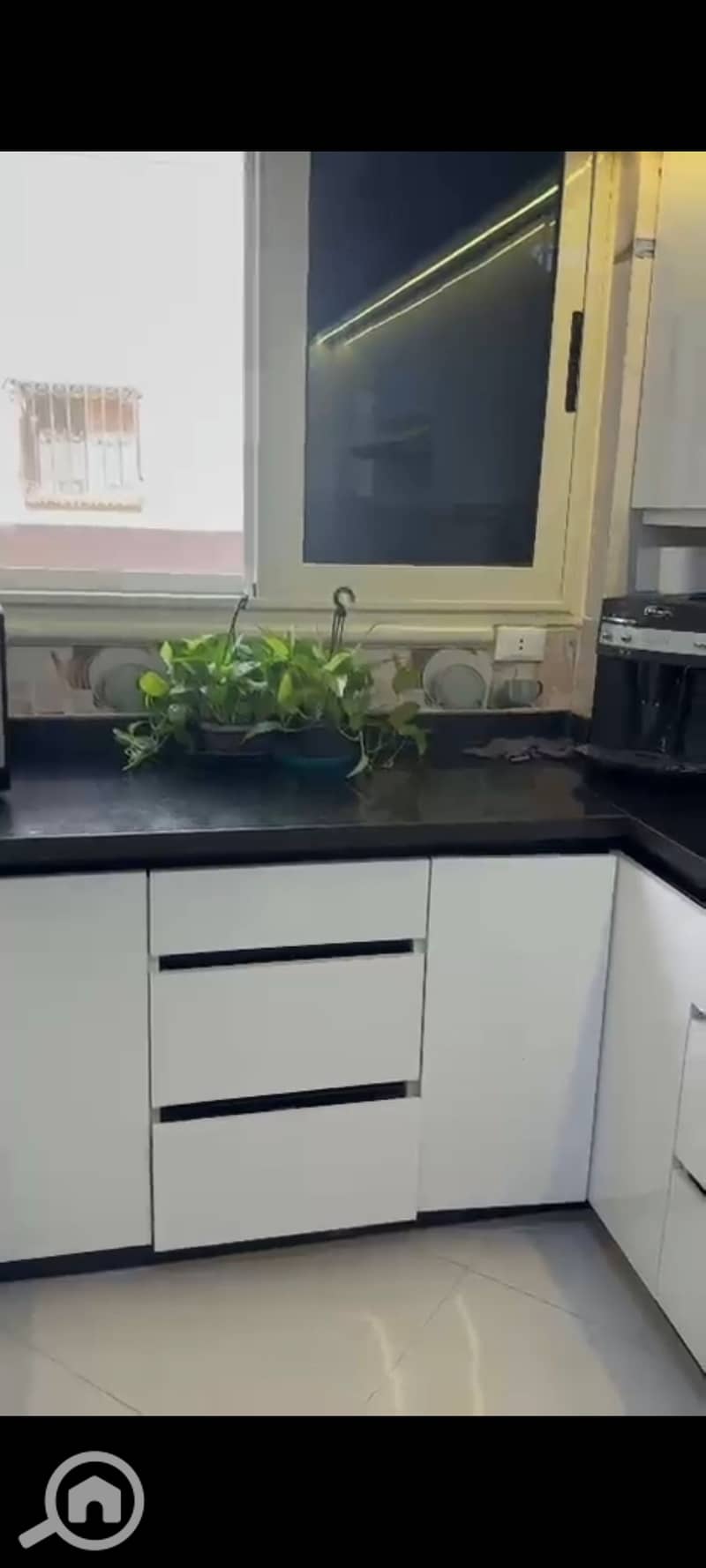 10 1000438247. jpg