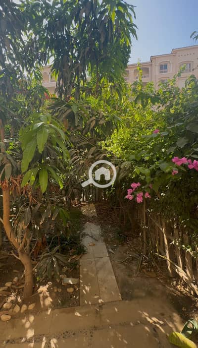 3 Bedroom Apartment for Sale in Madinaty, Cairo - 3e085bef-eb0a-40dc-836d-5b7075b7662c. jpg 3 Bedroom Apartment for Sale in Madinaty, Cairo - 3e085bef-eb0a-40dc-836d-5b7075b7662c. jpg