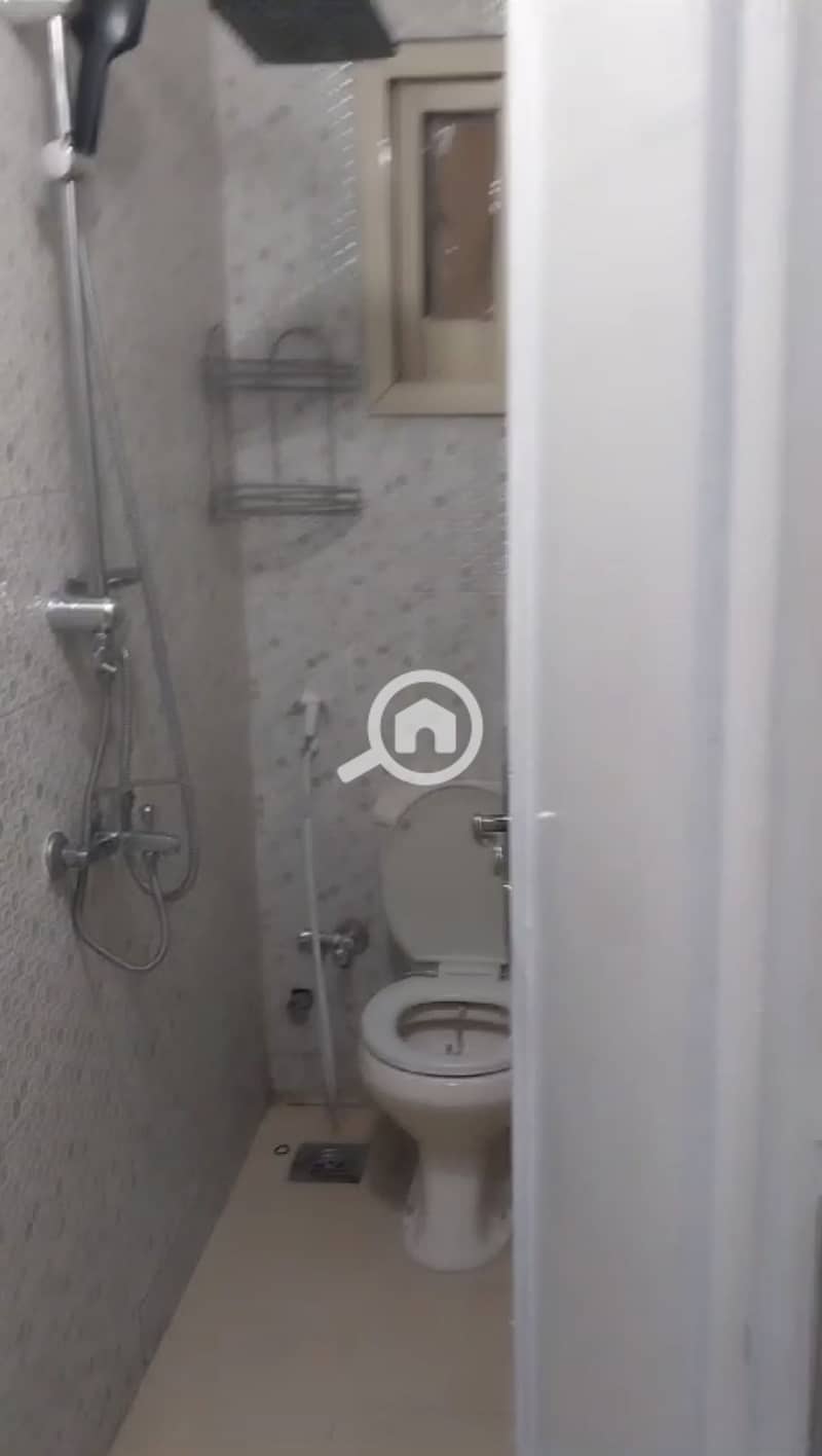 3 226832. jpg