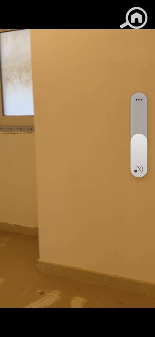 5 1000573250. jpg