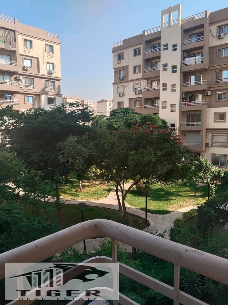 4 803577. jpg
