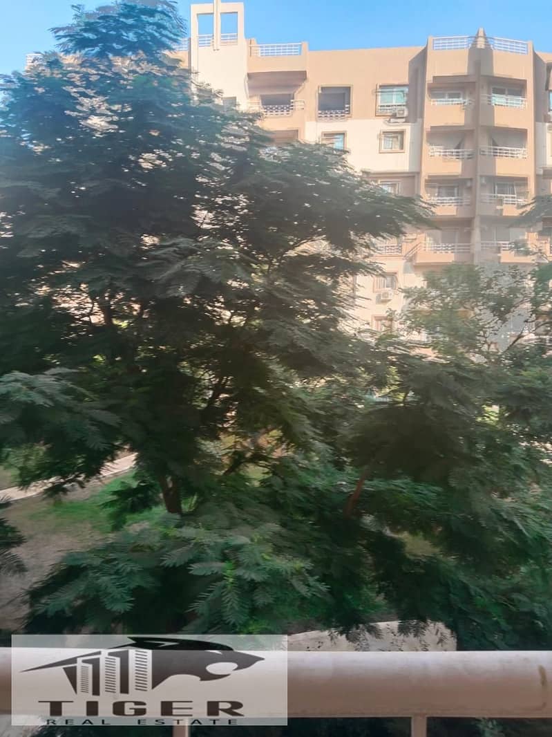 5 803578. jpg