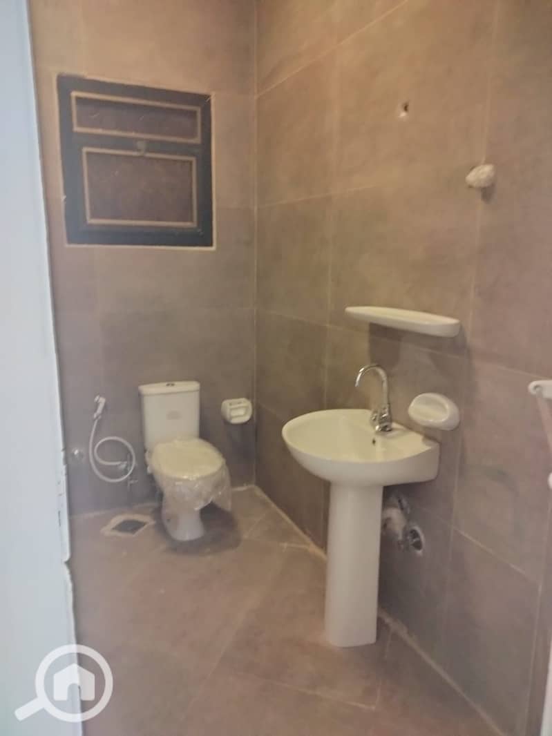 5 65636. jpg