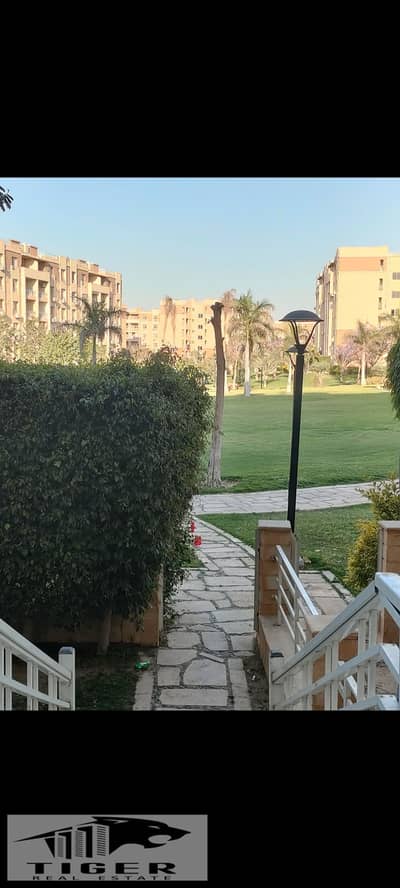 2 Bedroom Flat for Rent in Madinaty, Cairo - 1000866281. jpg 2 Bedroom Flat for Rent in Madinaty, Cairo - 1000866281. jpg
