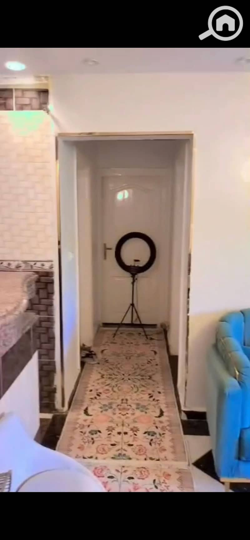 4 997781. jpg