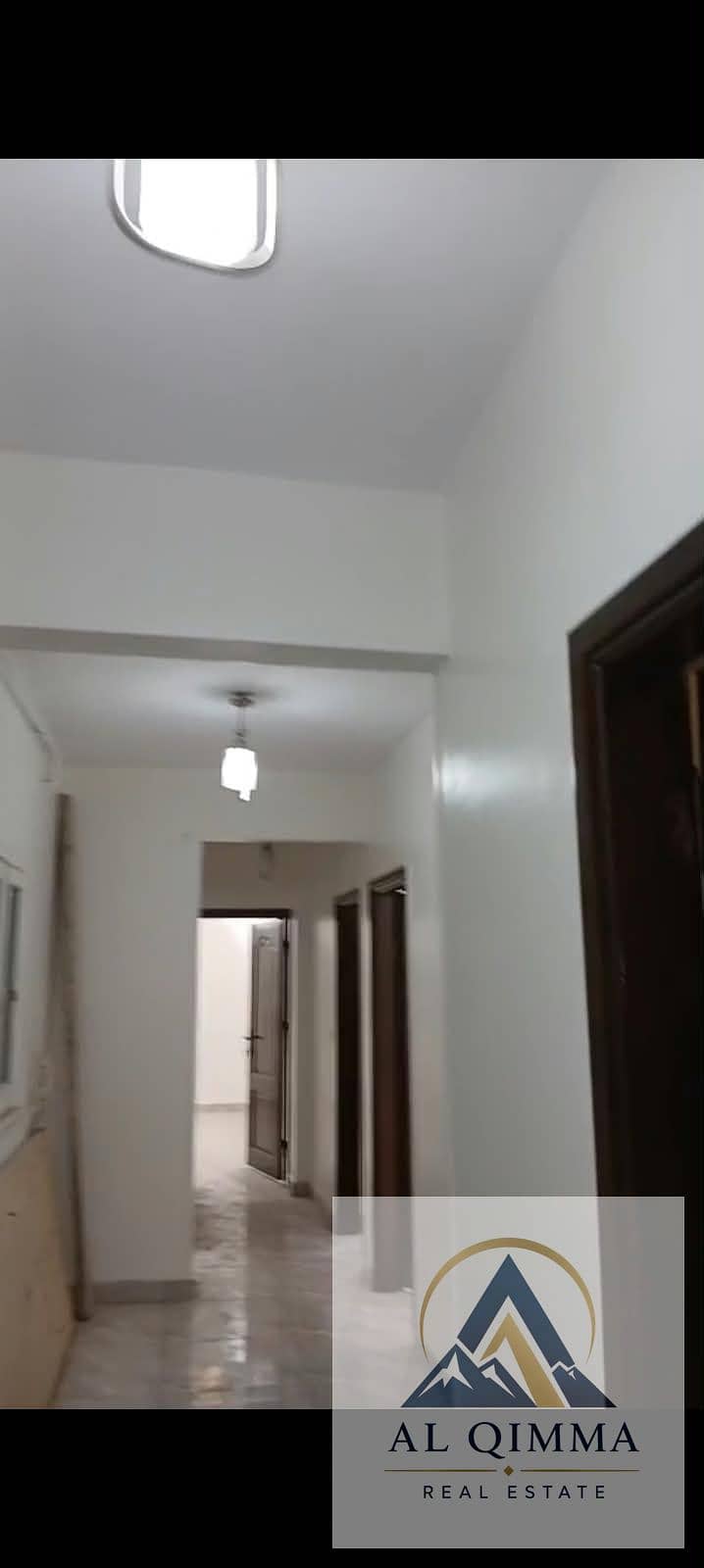 8 301466. jpg