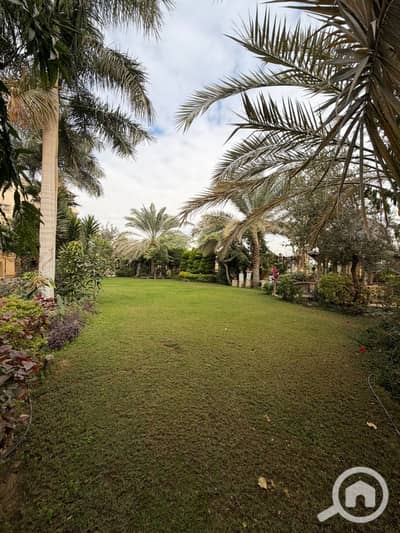 3 Bedroom Flat for Sale in New Cairo, Cairo - WhatsApp Image 2026-03-09 at 9.33. 42 AM (3). jpeg 3 Bedroom Flat for Sale in New Cairo, Cairo - WhatsApp Image 2026-03-09 at 9.33. 42 AM (3). jpeg