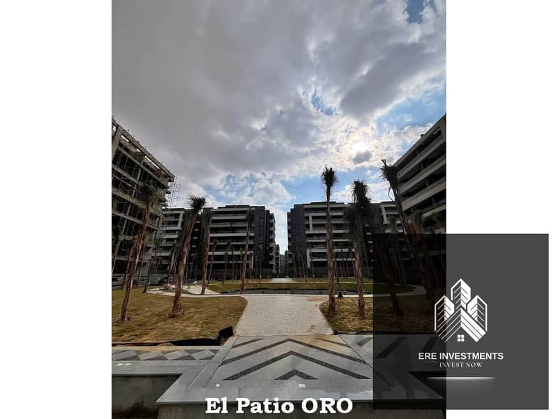 8 El_Patio_ORO_81. jpg