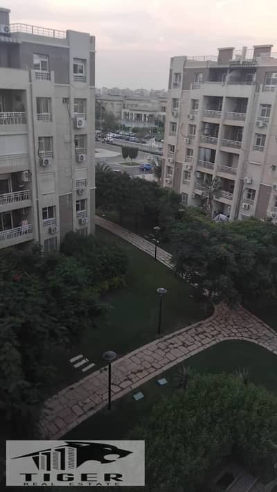 2 Bedroom Apartment for Rent in Madinaty, Cairo - 114091. jpg