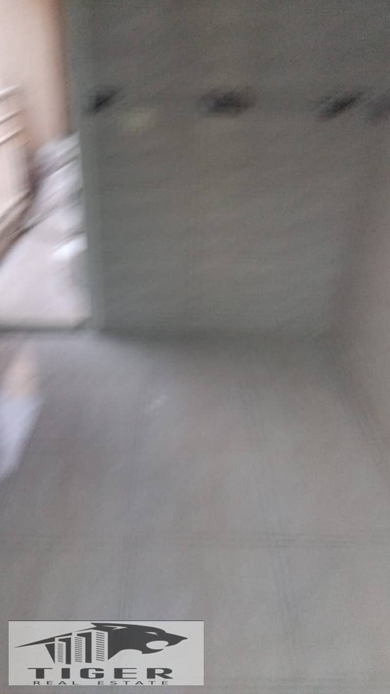 3 114089. jpg