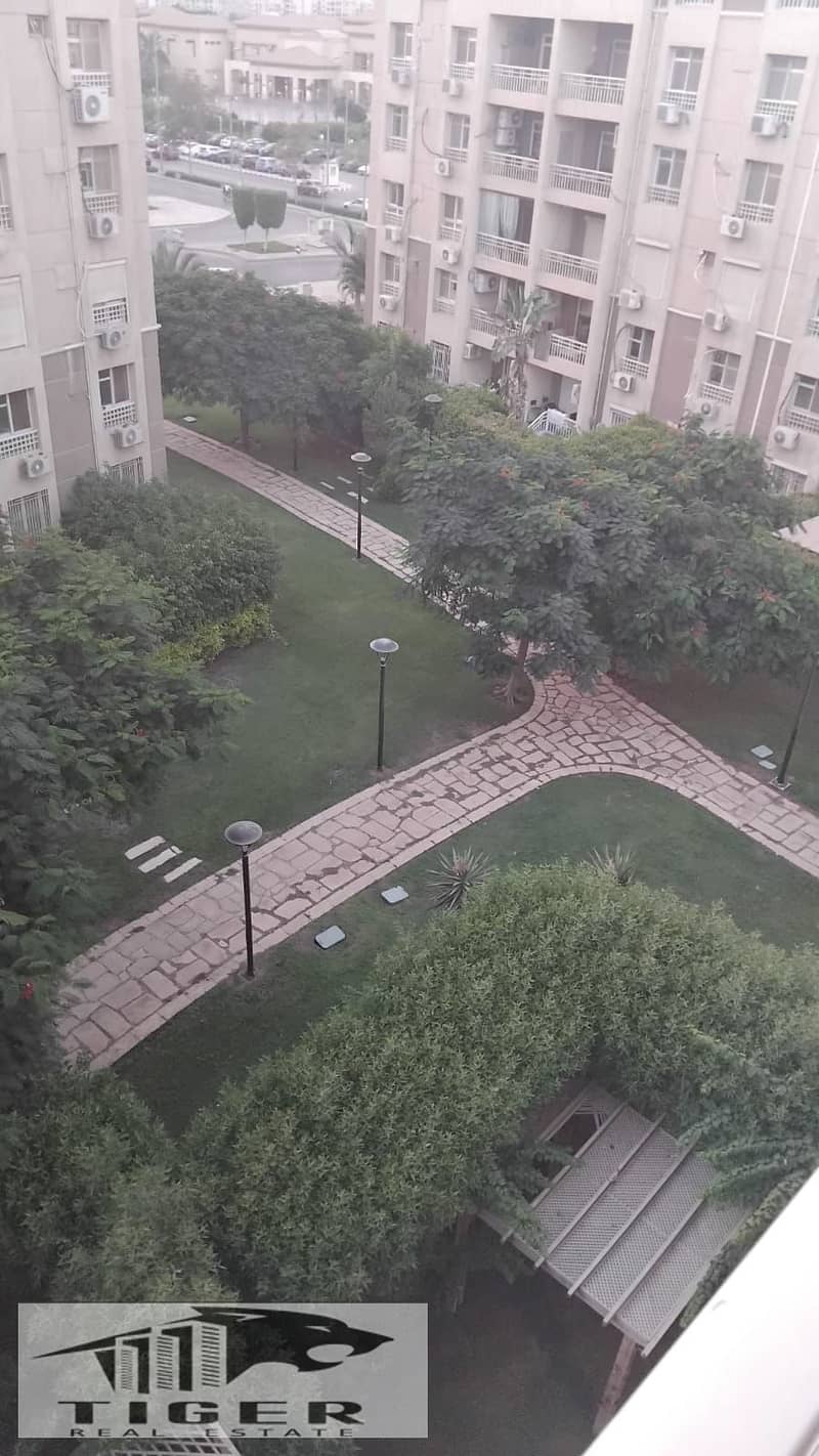 10 114083. jpg