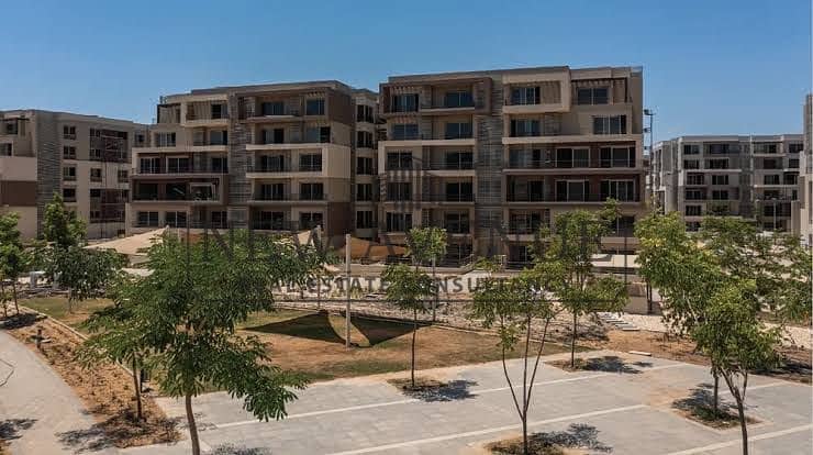 10 palm hills. jpg
