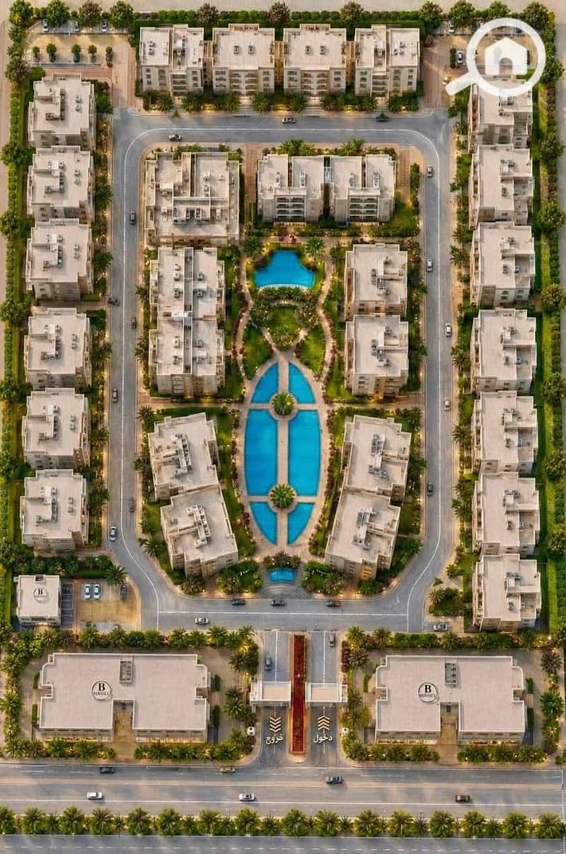 2 1000254328. jpg