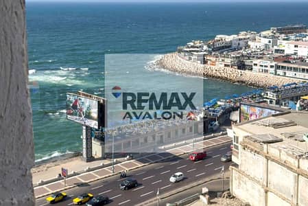 فلیٹ 2 غرفة نوم للايجار في كليوباترا، الإسكندرية - 1. jpg فلیٹ 2 غرفة نوم للايجار في كليوباترا، الإسكندرية - 1. jpg