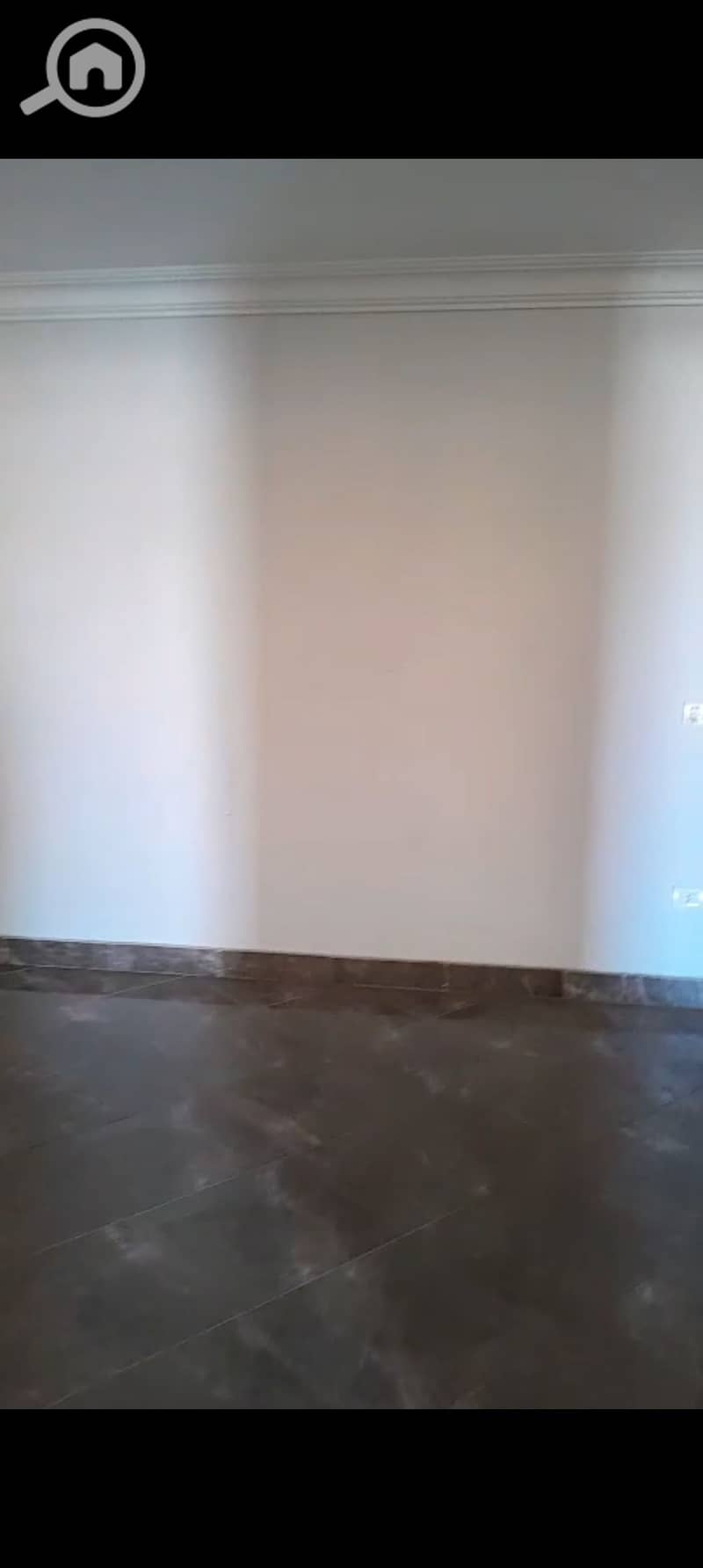 9 1000477795. jpg