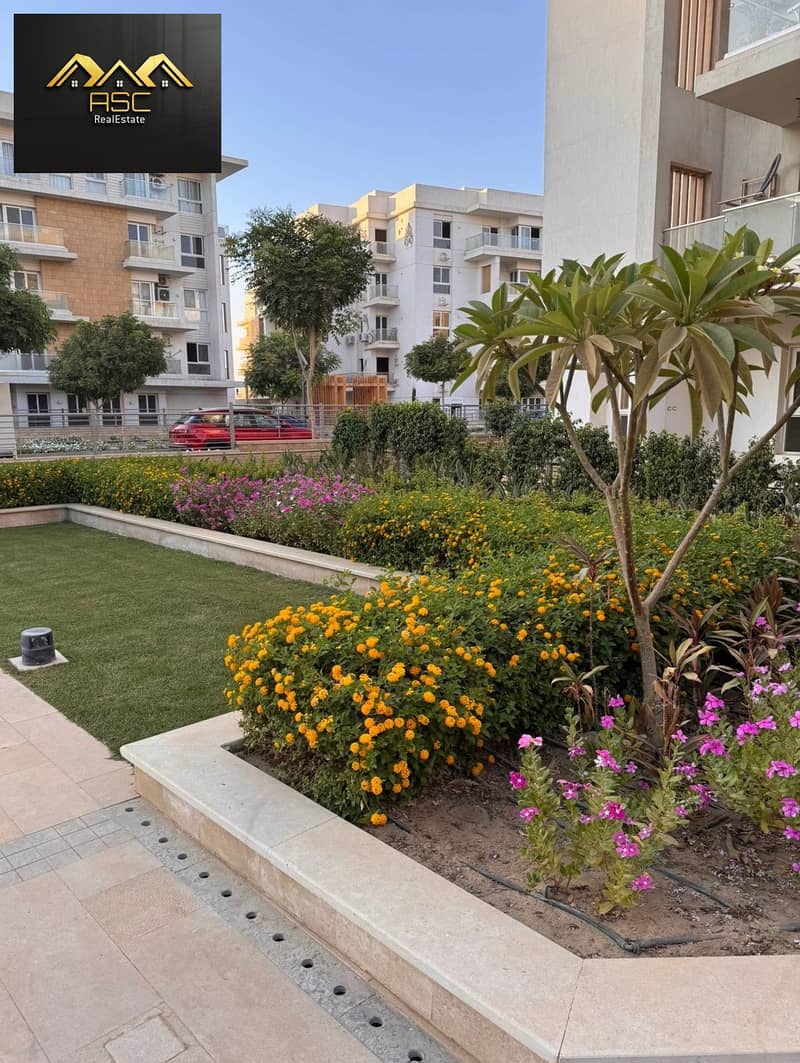 3 بلا عنوان1. jpg