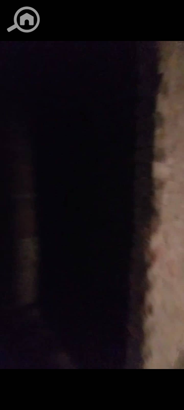 9 138031. jpg