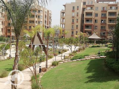 فلیٹ 2 غرفة نوم للايجار في 6 اكتوبر، الجيزة - 64704170_10158555463778496_1748511890922799104_n - Copy. jpg فلیٹ 2 غرفة نوم للايجار في 6 اكتوبر، الجيزة - 64704170_10158555463778496_1748511890922799104_n - Copy. jpg