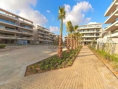 2 Bedroom Apartment for Rent in New Cairo, Cairo - 2a9a4fee-3e90-46e0-b4ce-38debcdb3b84. jpg 2 Bedroom Apartment for Rent in New Cairo, Cairo - 2a9a4fee-3e90-46e0-b4ce-38debcdb3b84. jpg