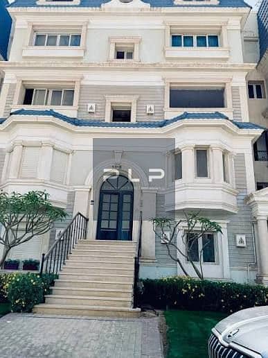 5 images (1). jpg