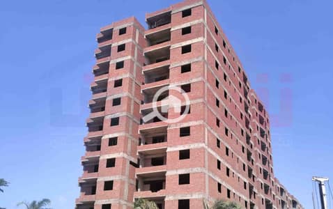 3 Bedroom Flat for Sale in Smoha, Alexandria - WhatsApp Image 2026-09-21 at 16.56. 52. jpg 3 Bedroom Flat for Sale in Smoha, Alexandria - WhatsApp Image 2026-09-21 at 16.56. 52. jpg