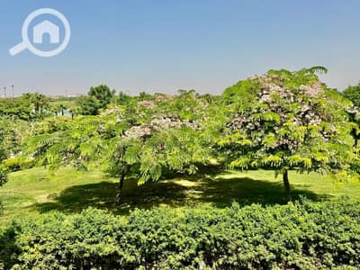 9 Bedroom Villa for Sale in Madinaty, Cairo - WhatsApp Image 2026-09-22 at 2.33. 09 PM. jpeg