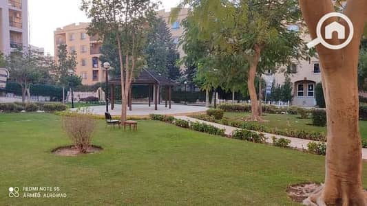 3 Bedroom Flat for Rent in New Cairo, Cairo - FB_IMG_1640181277498. jpg 3 Bedroom Flat for Rent in New Cairo, Cairo - FB_IMG_1640181277498. jpg