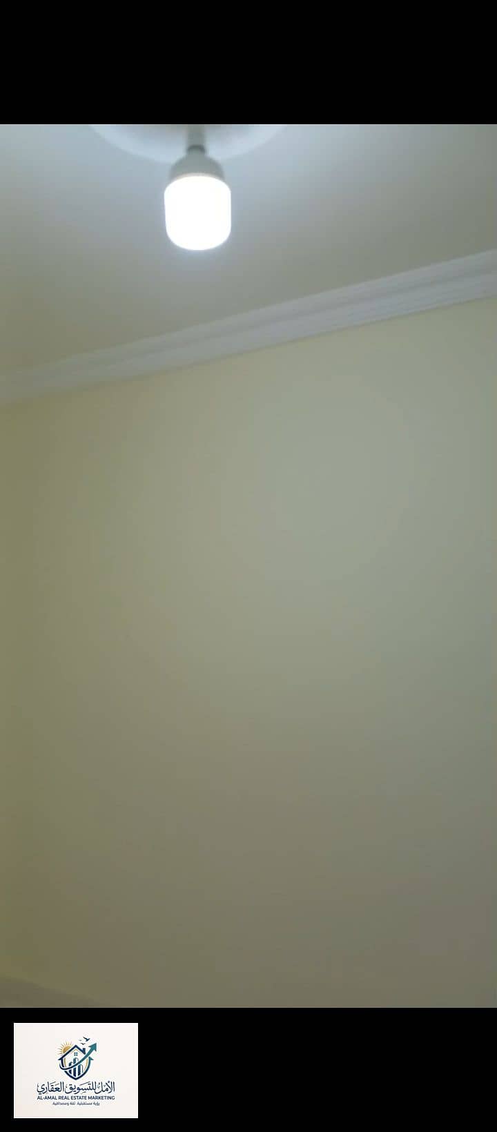 7 1000285104. jpg