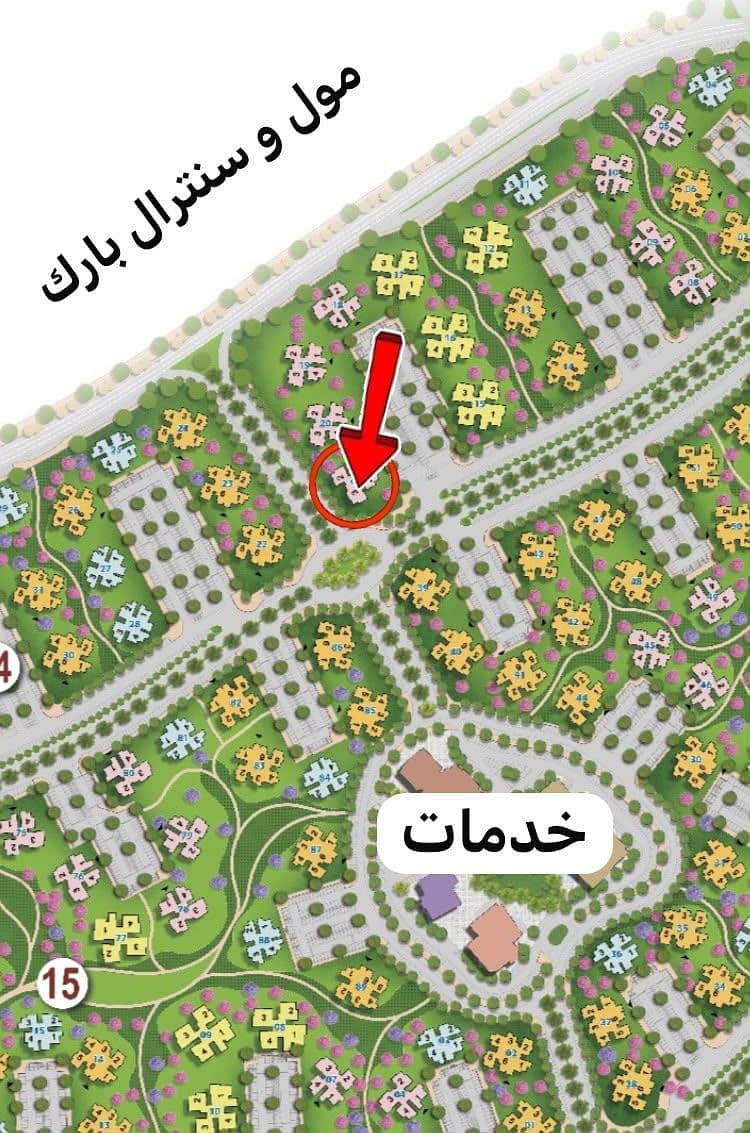 2 1000063377. jpg