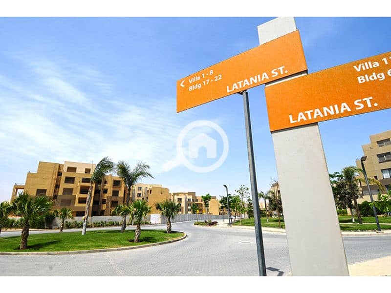 11 Palm Parks 11. jpg