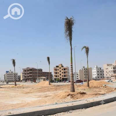 Land for Sale in New Cairo, Cairo - IMG-20260923-WA0002. jpg