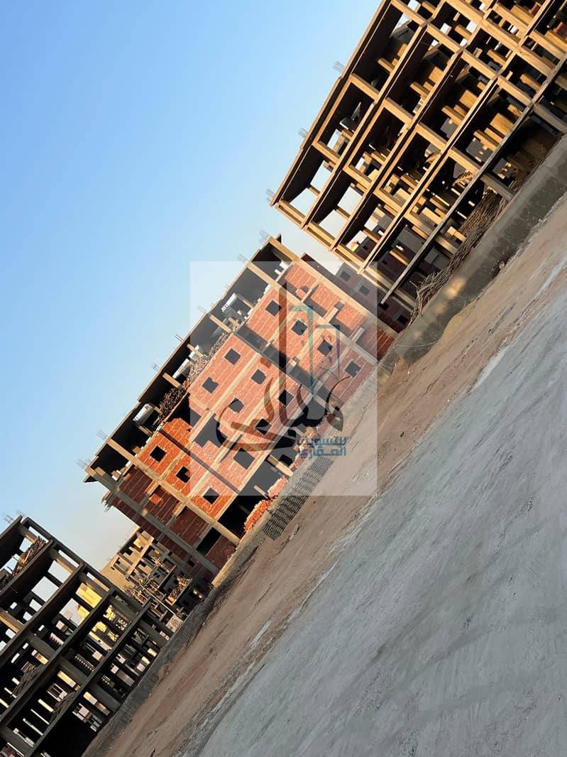 7 085. jpg