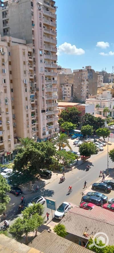 2 Bedroom Flat for Sale in Bolkly, Alexandria - WhatsApp Image 2026-09-24 at 08.56. 21. jpeg 2 Bedroom Flat for Sale in Bolkly, Alexandria - WhatsApp Image 2026-09-24 at 08.56. 21. jpeg