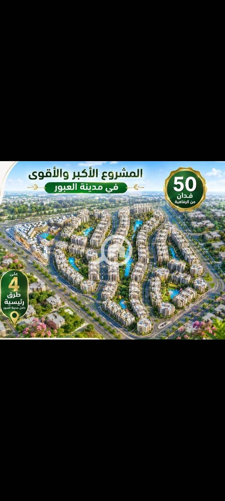 5 290241. jpg