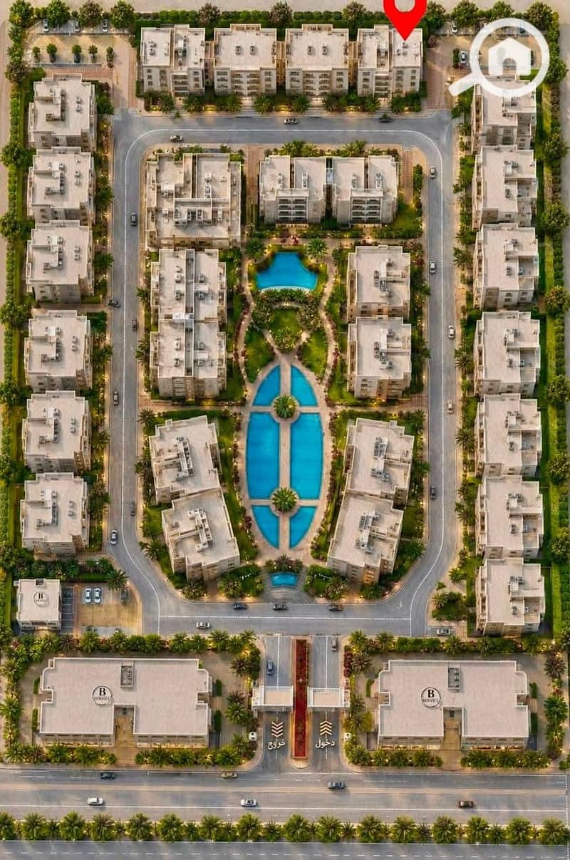 12 63926. jpg