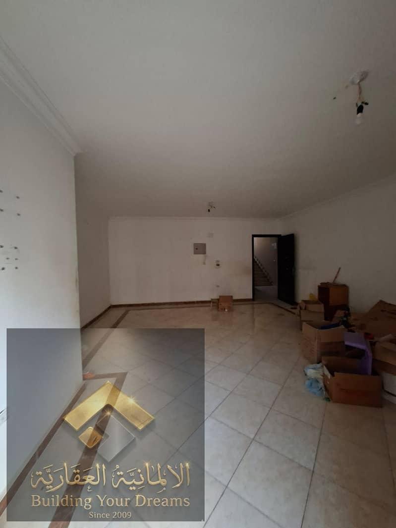 5 170864. jpg