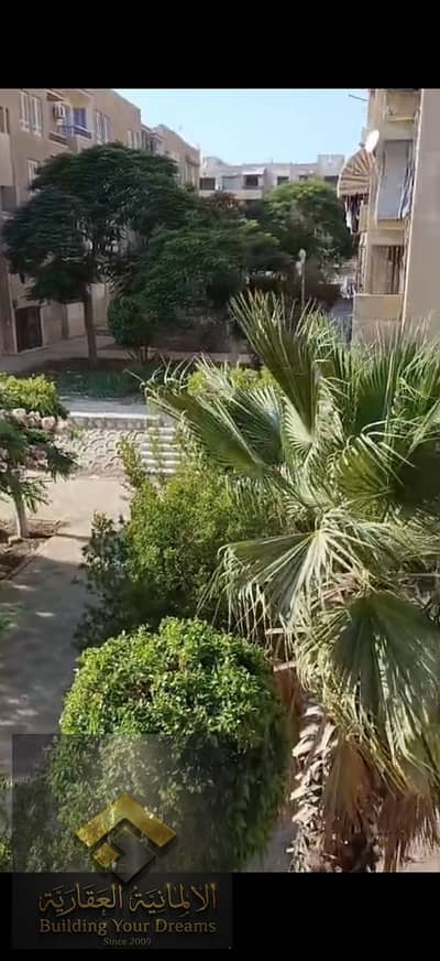 فلیٹ 3 غرف نوم للبيع في القاهرة الجديدة، القاهرة - 170070. jpg فلیٹ 3 غرف نوم للبيع في القاهرة الجديدة، القاهرة - 170070. jpg