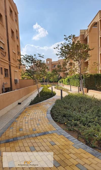 3 Bedroom Apartment for Sale in 6th of October, Giza - WhatsApp Image 2026-08-10 at 3.21. 22 PM (1). jpeg 3 Bedroom Apartment for Sale in 6th of October, Giza - WhatsApp Image 2026-08-10 at 3.21. 22 PM (1). jpeg